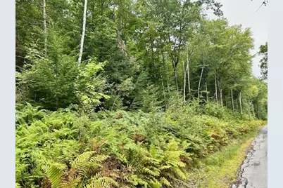 Bradley Hill Road #1, Haverhill, NH 03785 - Photo 3