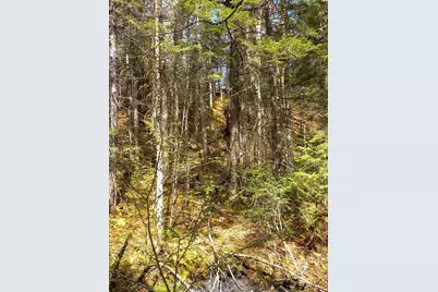 - Harry's Way, Colebrook, NH 03576 - Photo 21