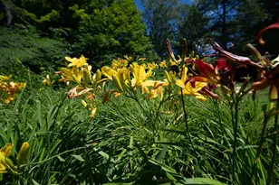 775 Winona Rd, Center Harbor, NH 03226 - Photo 47