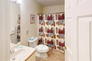 9 Mountain Sun Way, Waterville Valley, NH 03215 - Photo 25