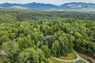 34 Foxglove Ln, Franconia, NH 03580 - Photo 49