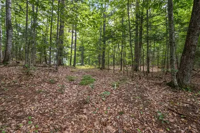 34 Foxglove Lane, Franconia, NH 03580 - Photo 11