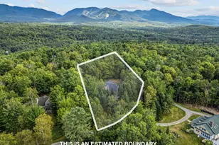 34 Foxglove Ln, Franconia, NH 03580 - Photo 47