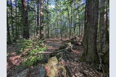 008-043-000 School House Road, Francestown, NH 03043 - Photo 15