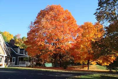 40-40A Pine Hill Road, Hollis, NH 03049 - Photo 55