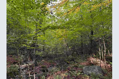 Sugarwood Lane, Littleton, NH 03561 - Photo 21