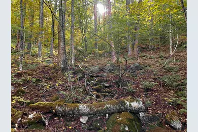 Sugarwood Lane, Littleton, NH 03561 - Photo 7