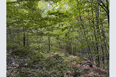 Sugarwood Lane, Littleton, NH 03561 - Photo 23