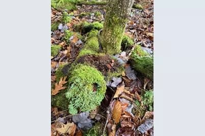 334 North Cambridge Road, Cambridge, VT 05444 - Photo 13