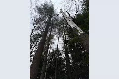 334 North Cambridge Road, Cambridge, VT 05444 - Photo 7