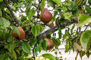 366 Old Concord Turnpike, Barrington, NH 03825 - Photo 27