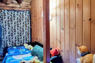 122 Timbertop Rd, New Ipswich, NH 03071 - Photo 47