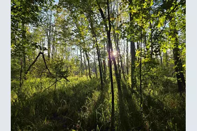 Nute Road, Madbury, NH 03023 - Photo 3