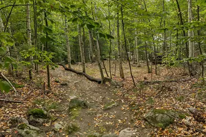 Lot 36 Mauhaut Shores Road, Alton, NH 03810 - Photo 13