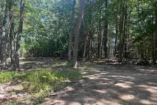 77 Mackey Rd, Troy, NH 03465 - Photo 9