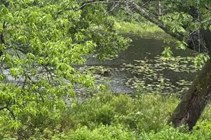 17 Prospect Mountain Rd, Alton, NH 03809 - Photo 9