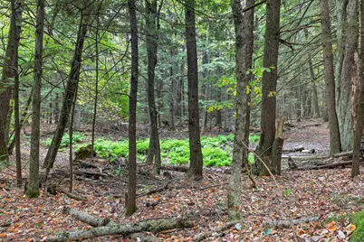 Gulf Road, Sanbornton, NH 03269 - Photo 5