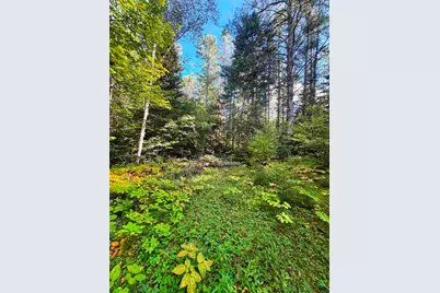 686 Wing Road, Bethlehem, NH 03574 - Photo 5