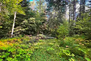 686 Wing Rd, Bethlehem, NH 03574 - Photo 5