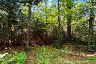 686 Wing Rd, Bethlehem, NH 03574 - Photo 35