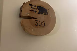 23 Black Bear Rd, Waterville Valley, NH 03215 - Photo 7