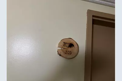 23 Black Bear Road #305, Waterville Valley, NH 03215 - Photo 13