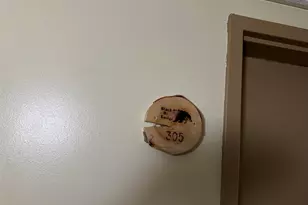 23 Black Bear Rd, Waterville Valley, NH 03215 - Photo 13