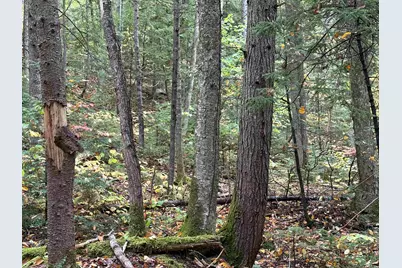 New Hampshire Route 25, Warren, NH 03279 - Photo 1