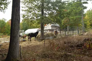 125 Corn Hl Rd, Brownfield, ME 04010 - Photo 33