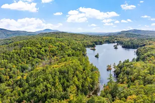 309 Waukeena Lake Rd, Danbury, NH 03230 - Photo 47