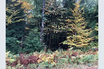 122 Centennial Drive #Lots 120,121,122,123, Webster, NH 03303 - Photo 7