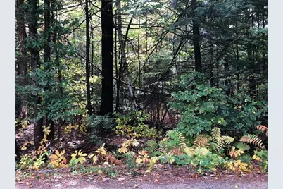 122 Centennial Drive #Lots 120,121,122,123, Webster, NH 03303 - Photo 9