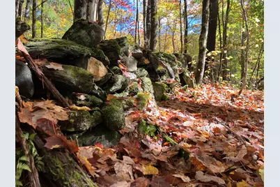 95 Highbridge Road, Lyme, NH 03768 - Photo 5