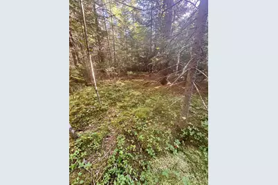 0 Thorn Hill Road #406/22, Bethlehem, NH 03574 - Photo 19