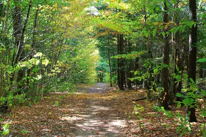 254 South Peak Road, Lincoln, NH 03251 - Photo 41