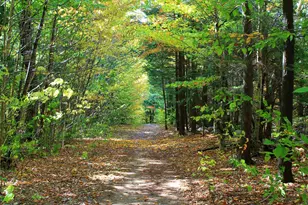 254 S Peak Rd, Lincoln, NH 03251 - Photo 41