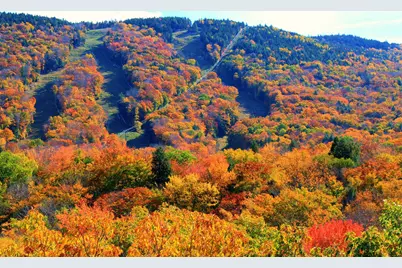 254 South Peak Road, Lincoln, NH 03251 - Photo 35