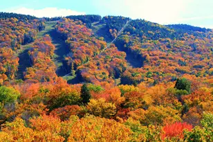 254 S Peak Rd, Lincoln, NH 03251 - Photo 35