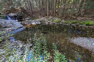 829 Bearcamp Hwy, Tamworth, NH 03883 - Photo 27