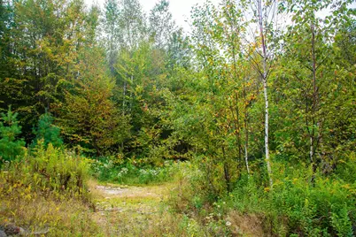 264 Olds Road, Lempster, NH 03605 - Photo 9