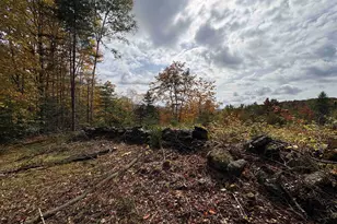 173 Dereks Wy, Lyndon, VT 05851 - Photo 17
