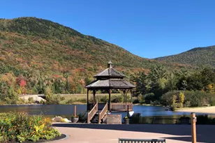 46 Packards Way, Waterville Valley, NH 03215 - Photo 29