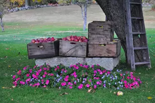 216 North Rd, Candia, NH 03034 - Photo 53