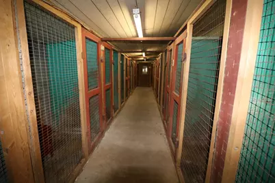 64 Old Ashburnham Road, Rindge, NH 03461 - Photo 45