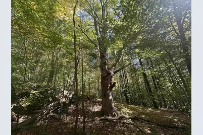 0 North Road, Milton, VT 05468 - Photo 49