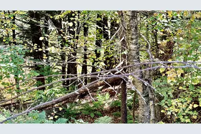 212 Hillcrest Drive, Johnson, VT 05656 - Photo 23