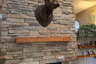 46 Packard's Rd, Waterville Valley, NH 03215 - Photo 33