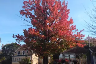 25 Laurel St, Berlin, NH 03570 - Photo 45