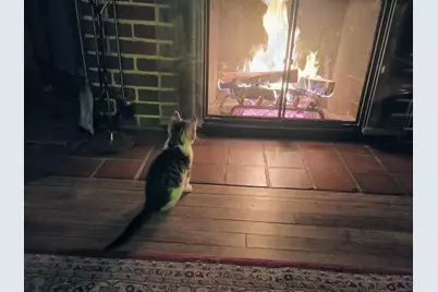 25 Laurel Street, Berlin, NH 03570 - Photo 19