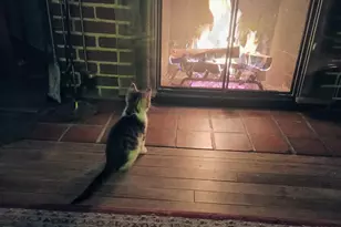 25 Laurel St, Berlin, NH 03570 - Photo 19